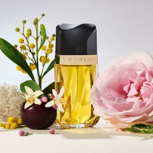 Knowing — ESTÉE LAUDER
