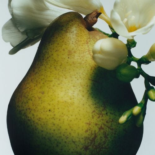 English Pear & Freesia — JO MALONE LONDON