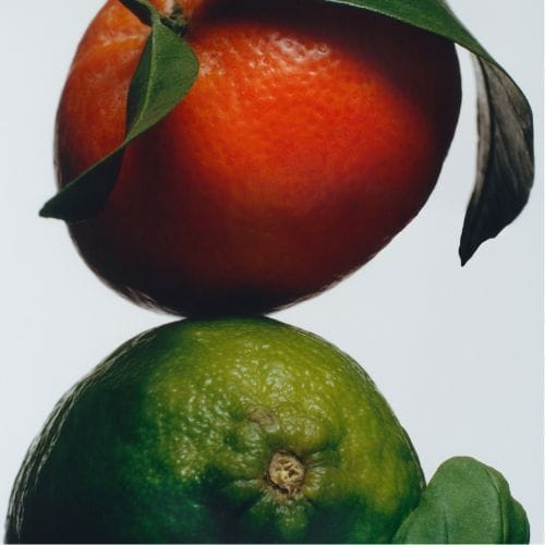 Lime Basil & Mandarin — JO MALONE LONDON