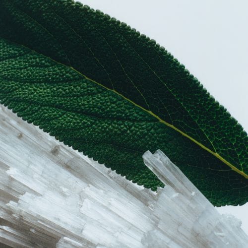 Wood Sage & Sea Salt — JO MALONE LONDON