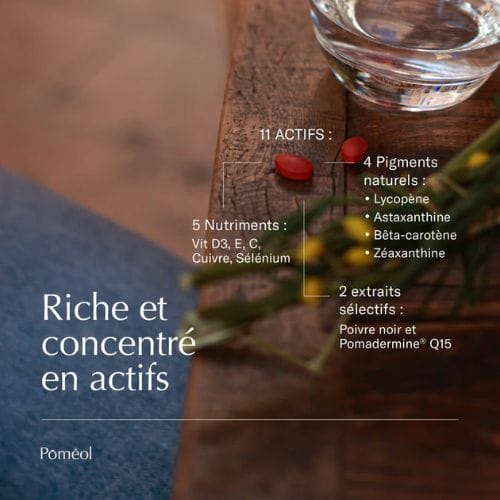 Préparateur Solaire — POMÉOL