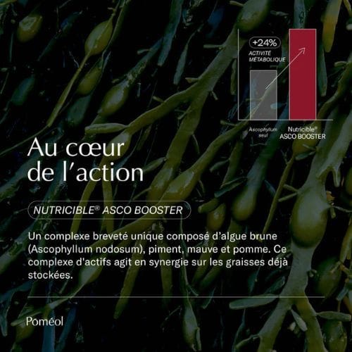Accélérateur de métabolisme – perte de poids — POMÉOL