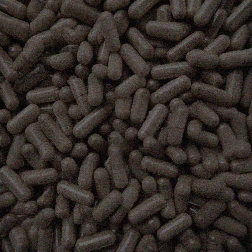 Gélules Ventre Plat — YUM HOLISTICS