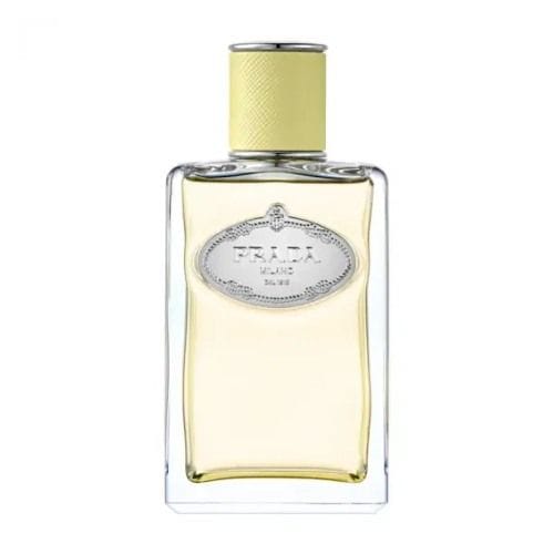 Infusion de Gingembre — PRADA