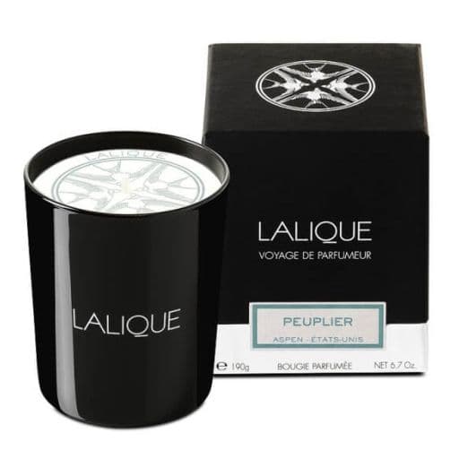 Bougie Peuplier, Aspen