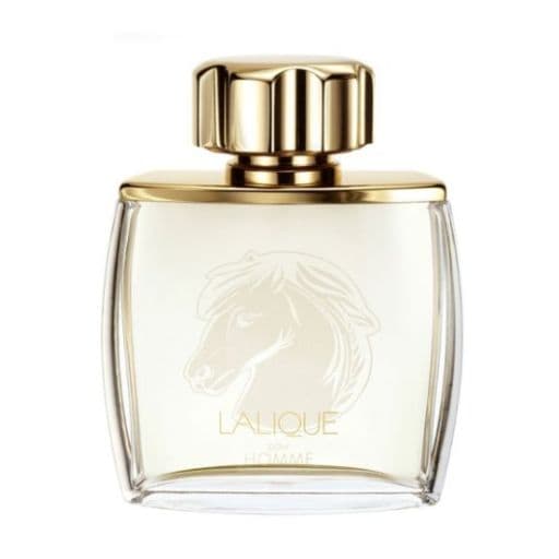Equus