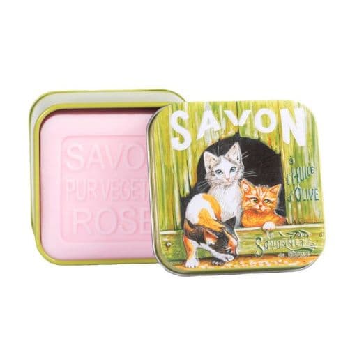 Chat & Chatons