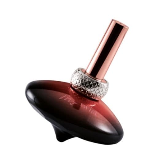 Mauboussin my Twist