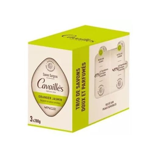Oranger Jasmin
